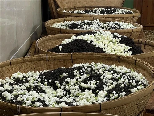 Conas an Grád Tae Jasmine Ceart a Roghnú do Do Ghnó