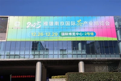 2025 Nanjing International Tae Industry Expo Recap
